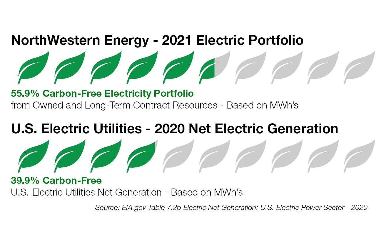 Leaf chart of electric portfolio and net electric generation